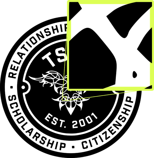 Vector (.svg) image of phoenix logo with section zoomed in.